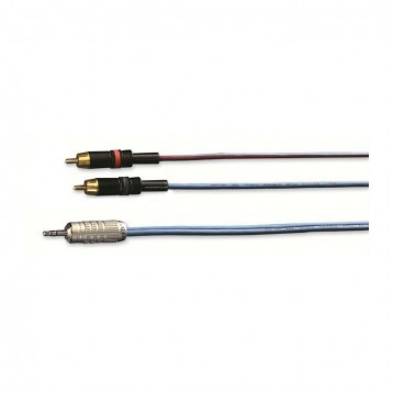 Standard stereo 3.5mm jack- 2 x phono cable (iPod/laptop cable)